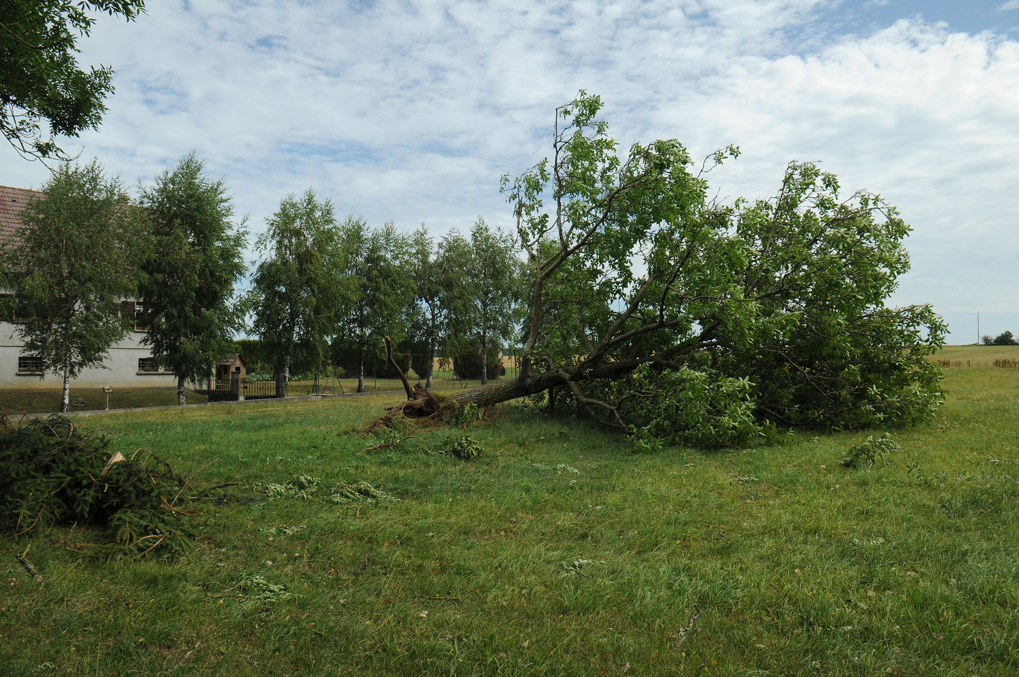 Dommages sur l'arrondissement 09/08/2019 point 20-5